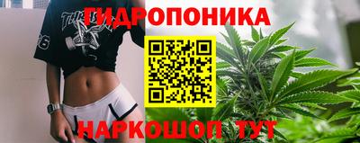 твердый Тара