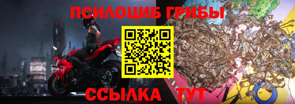 Псилоцибиновые грибы Cubensis  хочу   Вход с VPN  Москва  Галлюциногенные грибы Psilocybine cubensis 